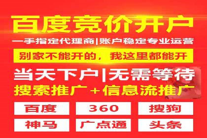 SEM代理助力品牌：案例解析与优化策略